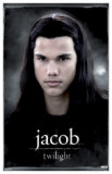 Twilight - Jacob