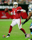 Kevin Kolb 2011 Action