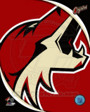 Phoenix Coyotes 2011 Team Logo