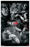 Buy True Blood - Cracked Art at AllPosters.com