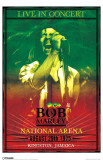 Buy Bob Marley - Concert at AllPosters.com