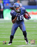 Sidney Rice 2011 Action
