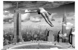 New York Dive