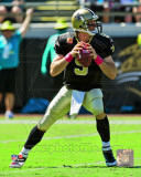 Drew Brees 2011 Action