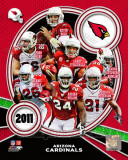 Arizona Cardinals 2011 Team Composite