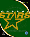 Dallas Stars 2011 Team Logo