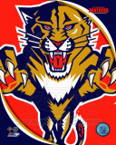 Florida Panthers 2011 Team Logo