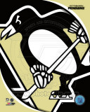 Pittsburgh Penguins 2011 Team Logo