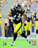 Troy Polamalu 2011 Action