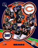 Chicago Bears 2011 Team Composite