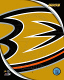 Anaheim Ducks 2011 Team Logo