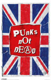 Buy Punks Not Dead at AllPosters.com