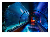 Buy The Secret Underwater Passage at AllPosters.com