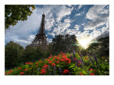 Another Summer Day in Paris