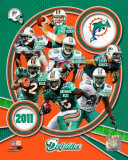 Miami Dolphins 2011 Team Composite