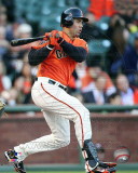 Carlos Beltran 2011 Action
