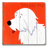 Shaggy Dog