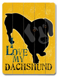 Buy I Love My Dachshund at AllPosters.com