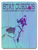 Buy Stay curious at AllPosters.com