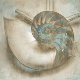 Buy Coastal Gems IV at AllPosters.com