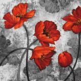 Buy Evening Red II at AllPosters.com