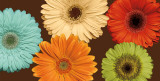 Daisy's Friends