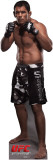 Buy Antonio Nogueira - UFC at AllPosters.com