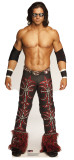 Buy John Morrison - WWE at AllPosters.com