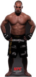 Buy Matt Serra - UFC at AllPosters.com
