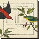 Summer Pages I