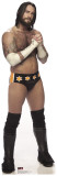 Buy CM Punk - WWE at AllPosters.com