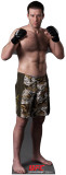 Buy Stephan Bonnar - UFC at AllPosters.com