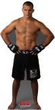 Buy Junior dos Santos - UFC at AllPosters.com