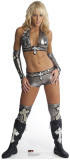 Buy Michelle McCool - WWE at AllPosters.com