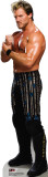 Buy Chris Jericho at AllPosters.com