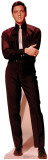 Buy Elvis Presley at AllPosters.com