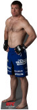 Buy Matt Hughes - UFC at AllPosters.com