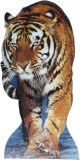 Tiger-TALKING