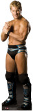 Buy Chris Jericho - WWE at AllPosters.com