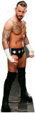 Buy CM Punk - WWE at AllPosters.com