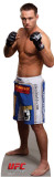 Buy Jake Shields - UFC at AllPosters.com