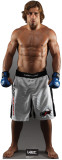 Buy Urijah Faber - UFC at AllPosters.com
