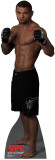 Buy Thiago Alves - UFC at AllPosters.com
