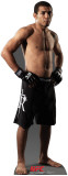 Buy Jose Aldo - UFC at AllPosters.com
