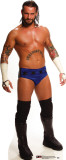 Buy CM Punk at AllPosters.com