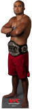 Buy BJ Penn - UFC at AllPosters.com