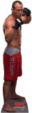 Buy Wanderlei Silva - UFC at AllPosters.com