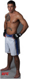 Buy Joe Brammer - UFC at AllPosters.com