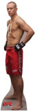 Buy Mark Hominik - UFC at AllPosters.com