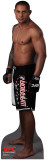 Buy Thiago Silva - UFC at AllPosters.com
